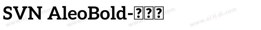 SVN AleoBold字体转换